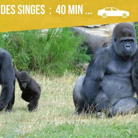 Grands Maillochon Accès Gare De Et Centre à Pieds *