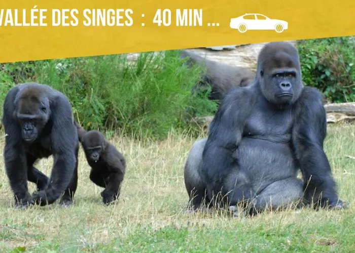 Grands Maillochon Acces Gare De Et Centre A Pieds *