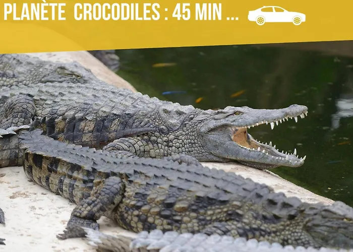 Grands Maillochon Acces Gare De Et Centre A Pieds بواتييه